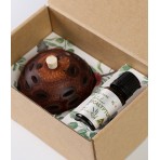 Aroma Pod Gift Set | Eucalyptus | Mini